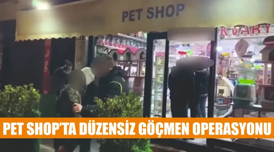Pet shop’ta düzensiz göçmen operasyonu