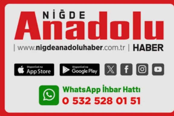 Bilgiye Dair Her Şey Burada