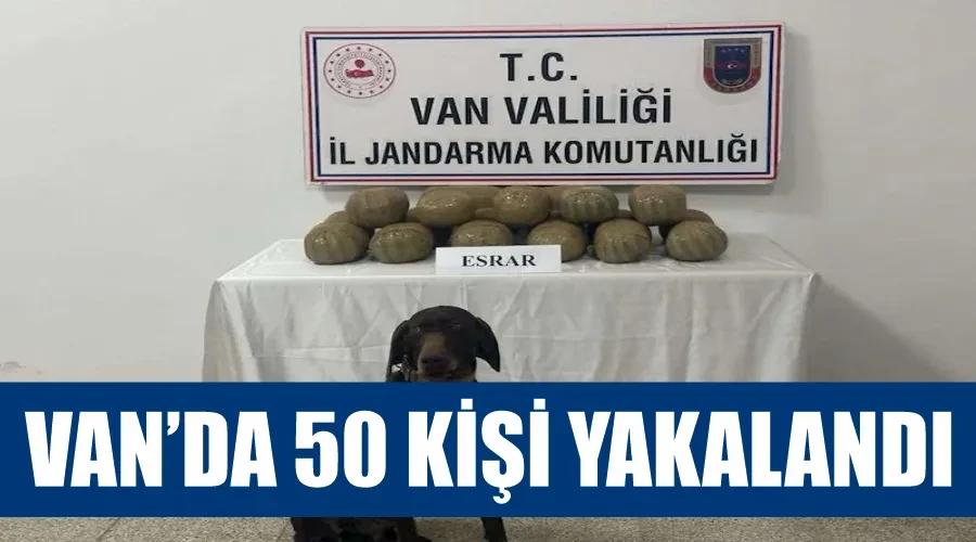 Van’da 50 kişi yakalandı