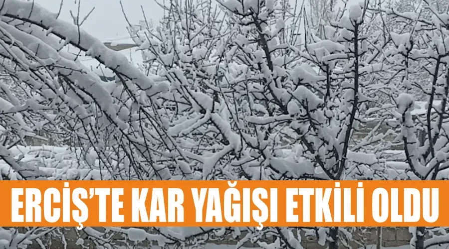 Erciş’te kar yağışı etkili oldu