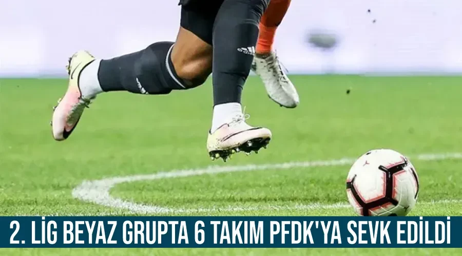 2. Lig Beyaz Grupta 6 takım PFDK