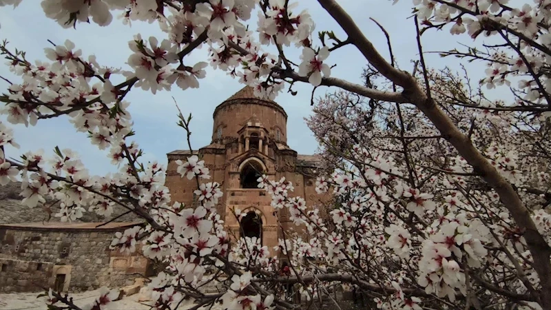 Akdamar Adası gündüz ayrı gece ayrı güzel