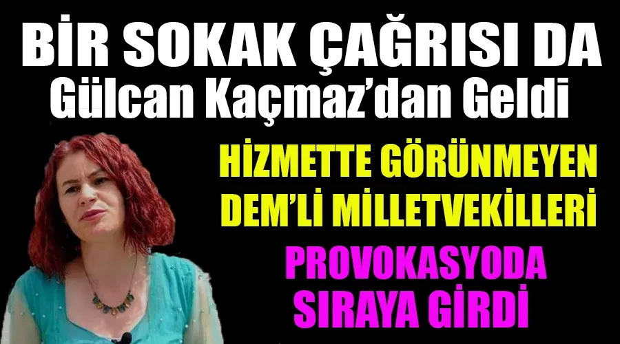 Bir Provokasyon Çağrısı da DEM Parti Van Milletvekili Gülcan Kaçmaz Sayyiğit