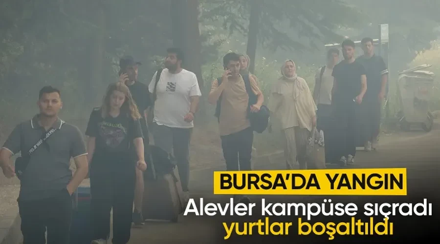 Bursa