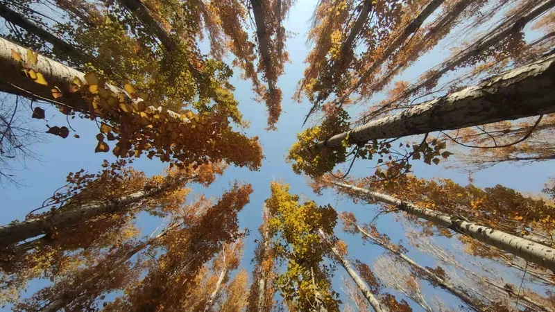 Van’ın sonbahar güzelliği: Van Kalesi ve Atatürk Kültür Parkı ziyaretçilerin gözdesi oldu