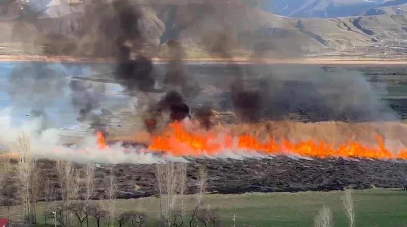 Van’da sazlıklar tehlikede