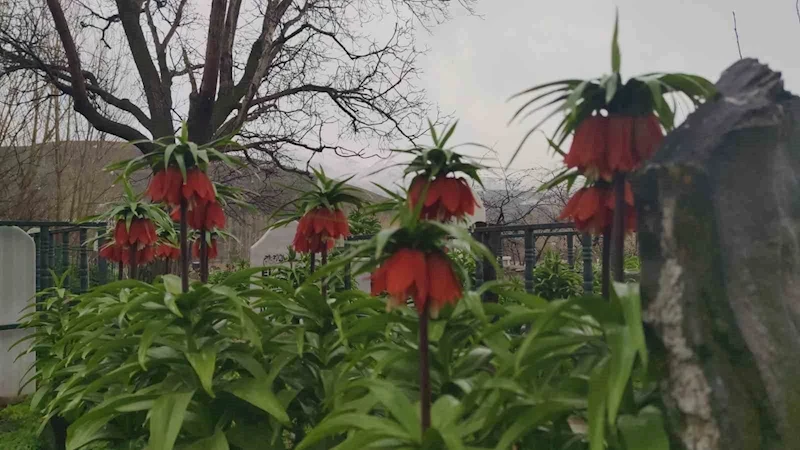 Van’da iki mevsim bir arada