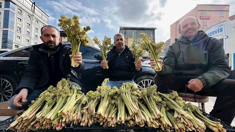 Yayla muzunun destesi 100 TL’den satışa çıkarıldı