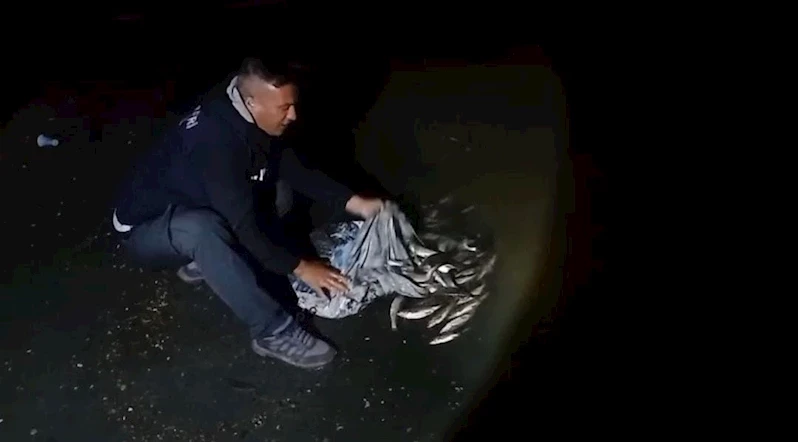 Van’da inci kefali göçü başladı: 60 kilo balığa el konuldu