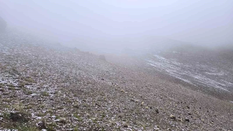 Başkale’de yüksek kesimlere kar yağdı
