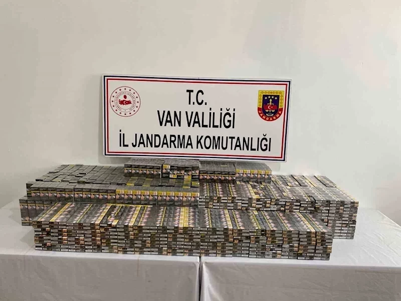 Van’da gümrük kaçakçılığı operasyonu