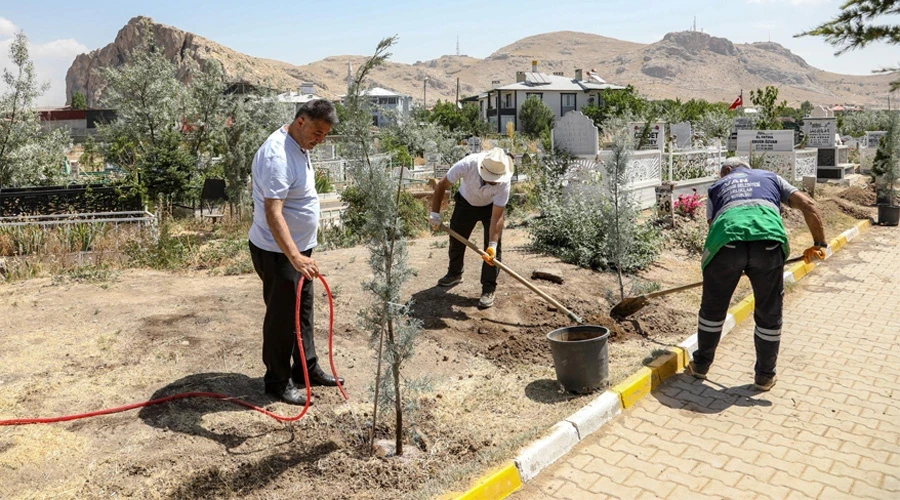 Van Mezarlıklarına Bahar Geldi: 600 Mavi Selvi Ağacıyla Yenileniyor