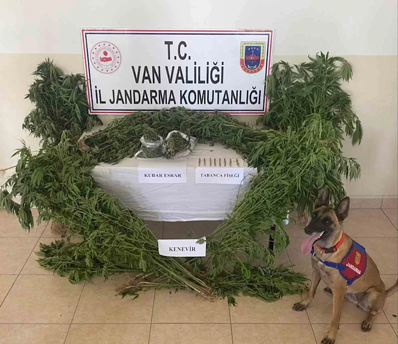 Van