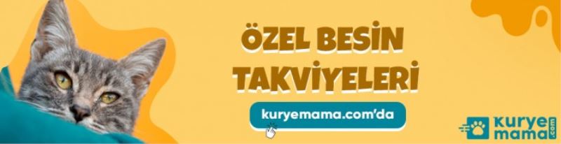 Köpek Eşyaları, Maması Ve Kedi Kovucular Kuryemama.Com İndirimde